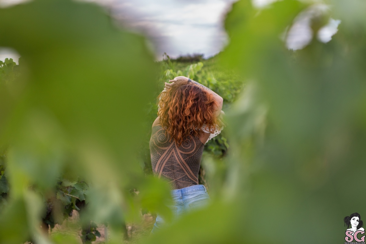 kioui-grapeharvestingmachine-09.jpg