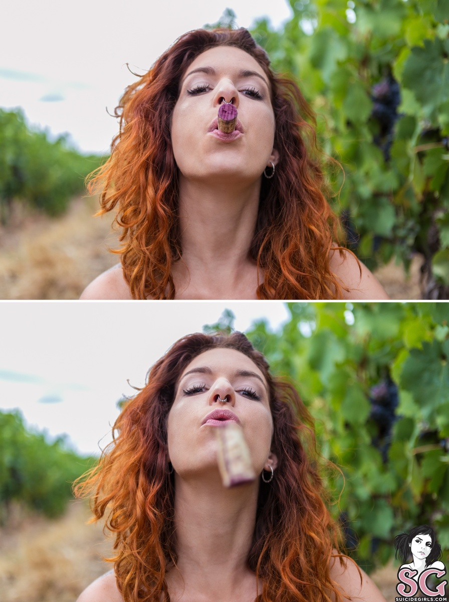 kioui-grapeharvestingmachine-25.jpg