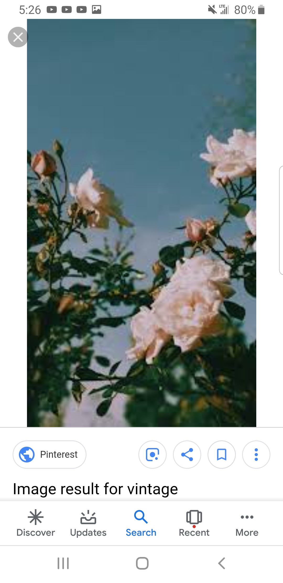 Screenshot_20190302-172614_Google.jpg