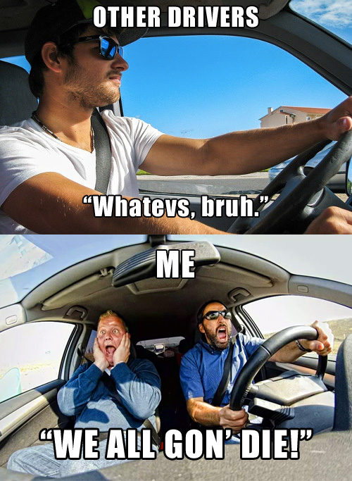 drivinganx.jpg