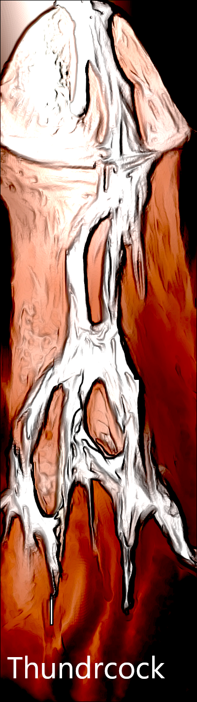Thundrcock.png