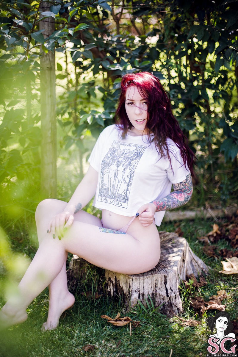 kpax-sweetleaf-01.jpg