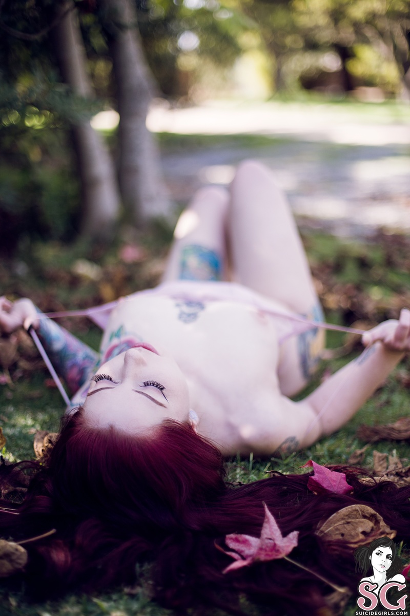kpax-sweetleaf-19.jpg