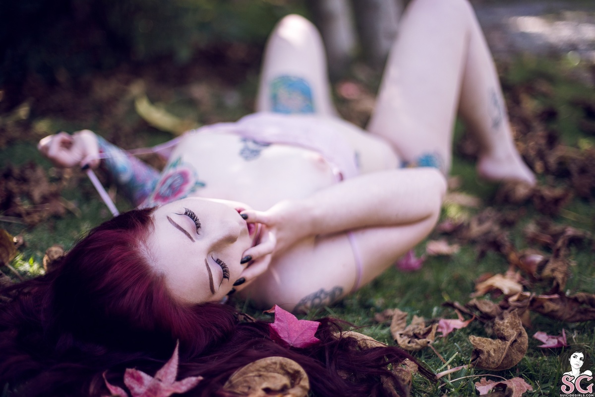 kpax-sweetleaf-21.jpg