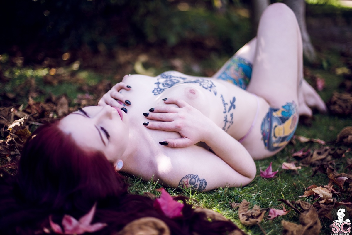 kpax-sweetleaf-23.jpg
