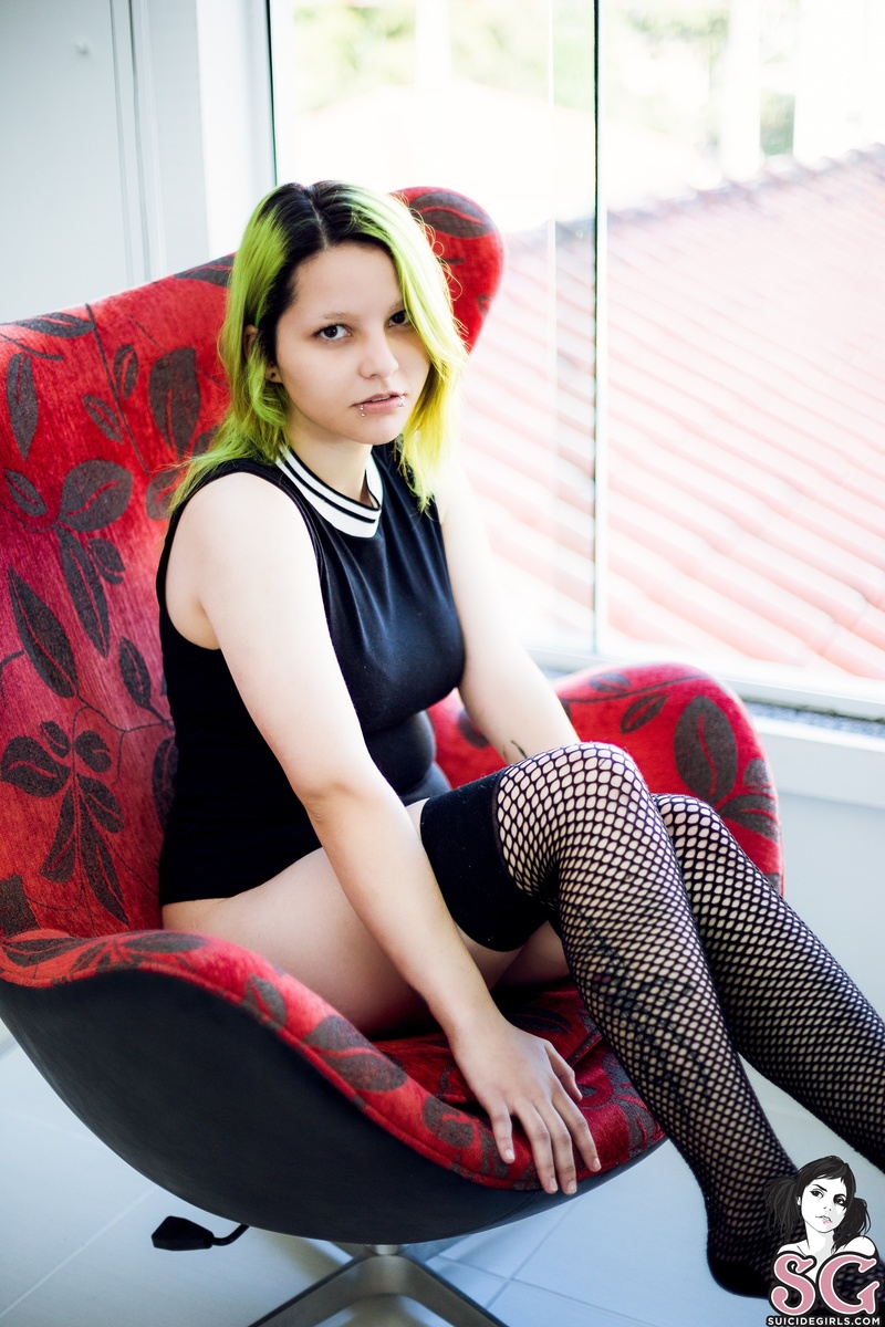 spaceelf-greenvalley-03.jpg