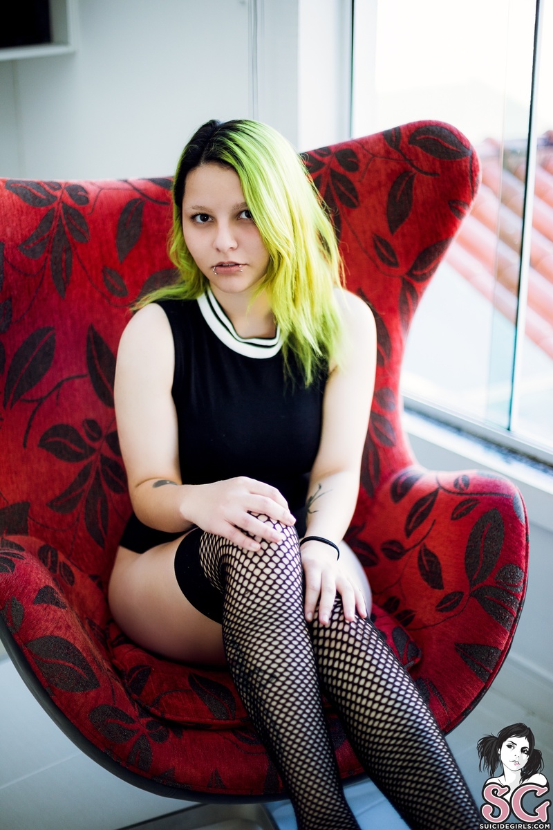 spaceelf-greenvalley-07.jpg