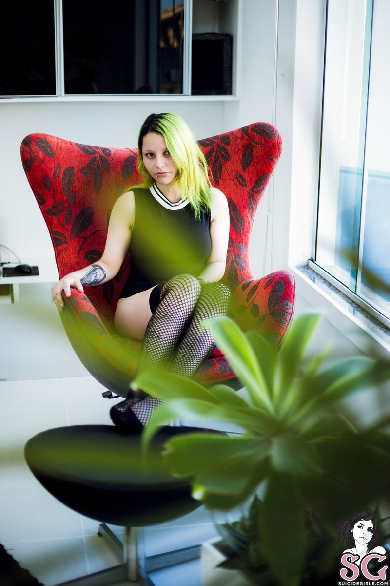 spaceelf-greenvalley-09.jpg
