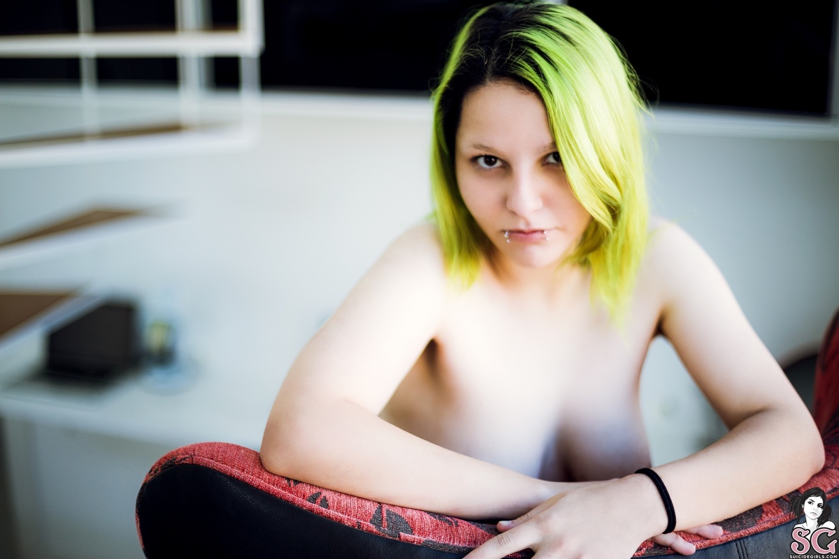 spaceelf-greenvalley-29.jpg