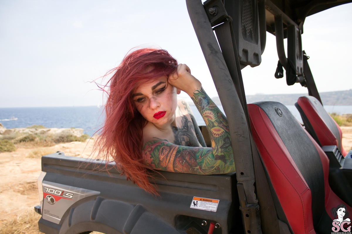 talketna-wildsafaribabe-33.jpg