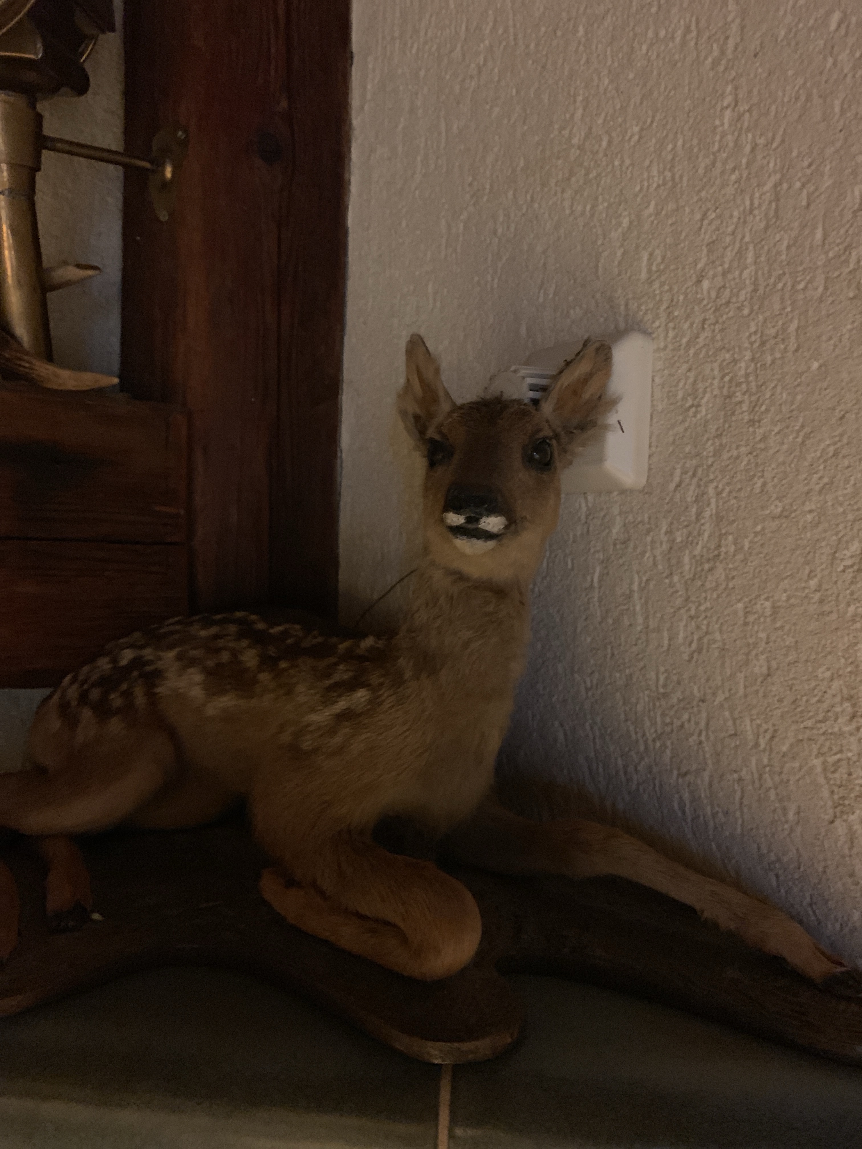 file.jpg