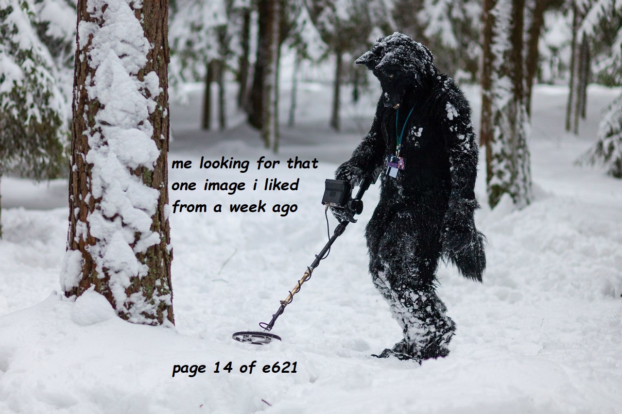 kfPvEn95WUA.jpg