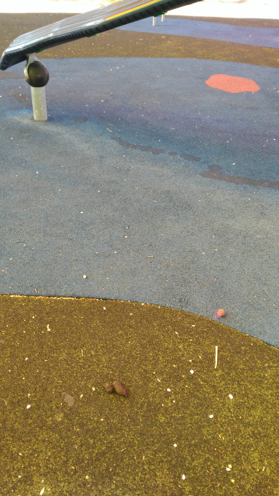 CacaPerroParqueCasasParchis.jpg