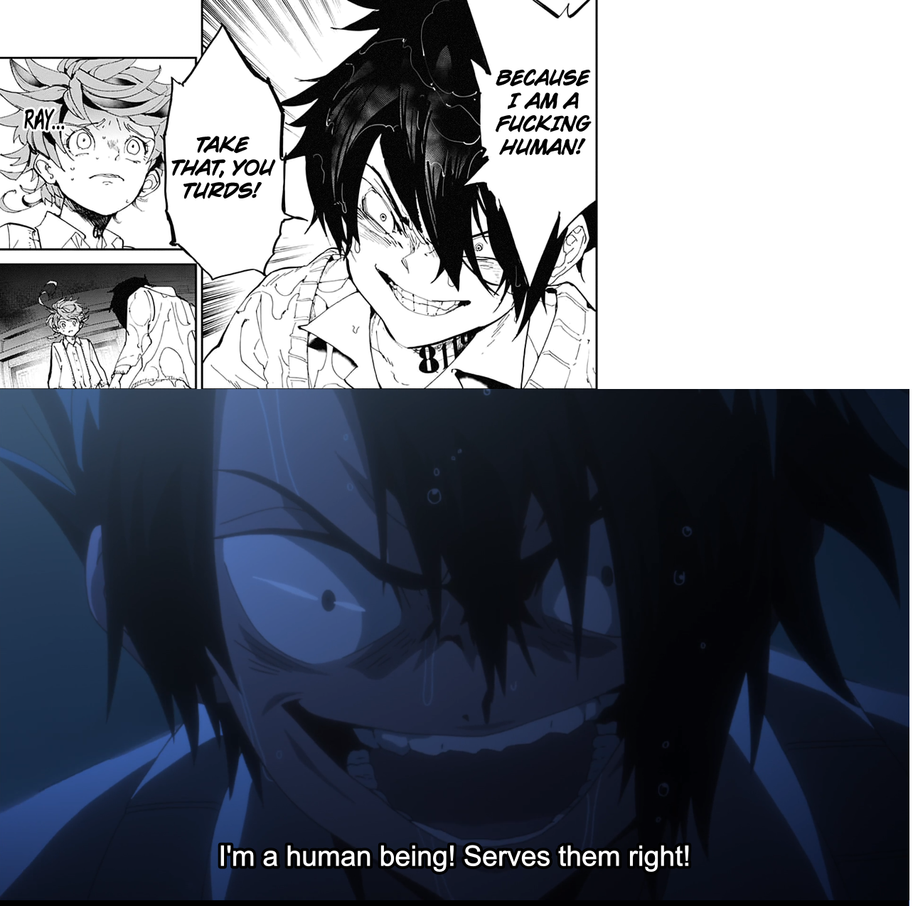 raybest.png