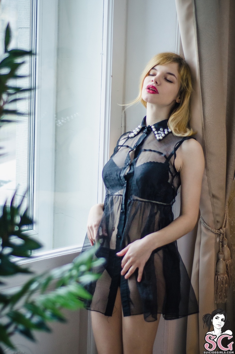 marykitten-inthewarmfallatthewindow-05.jpg