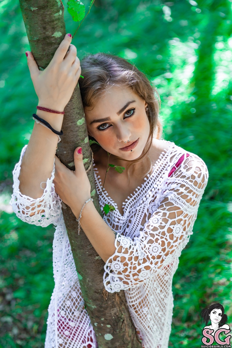clarus-evergreen-01.jpg