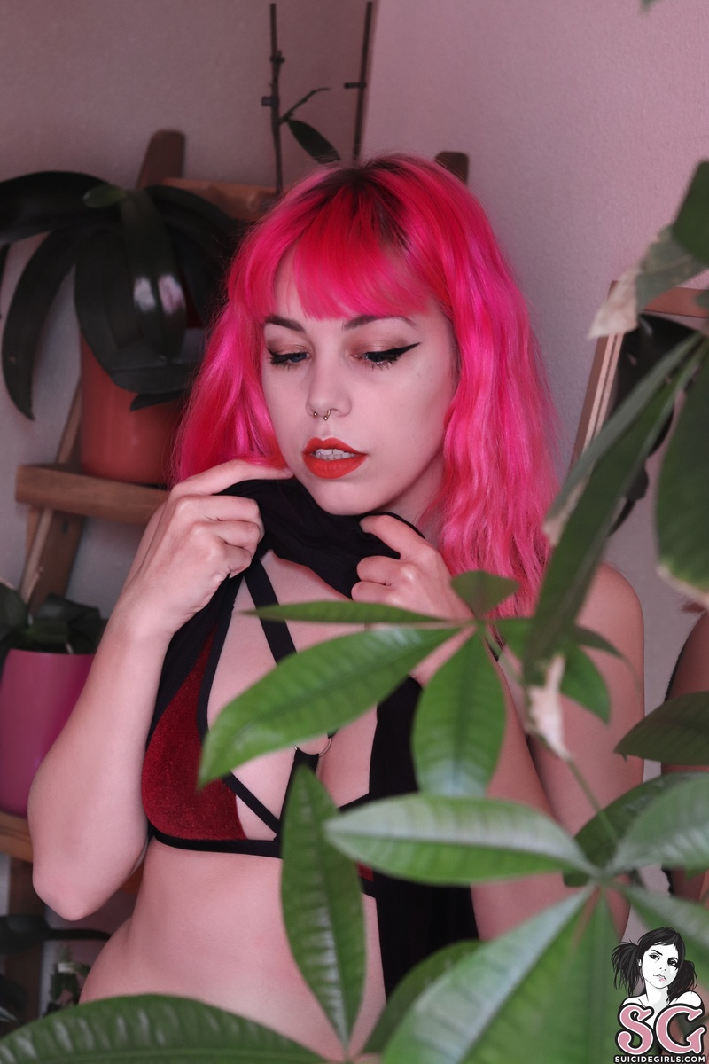 sliva-sweetiepink-03.jpg