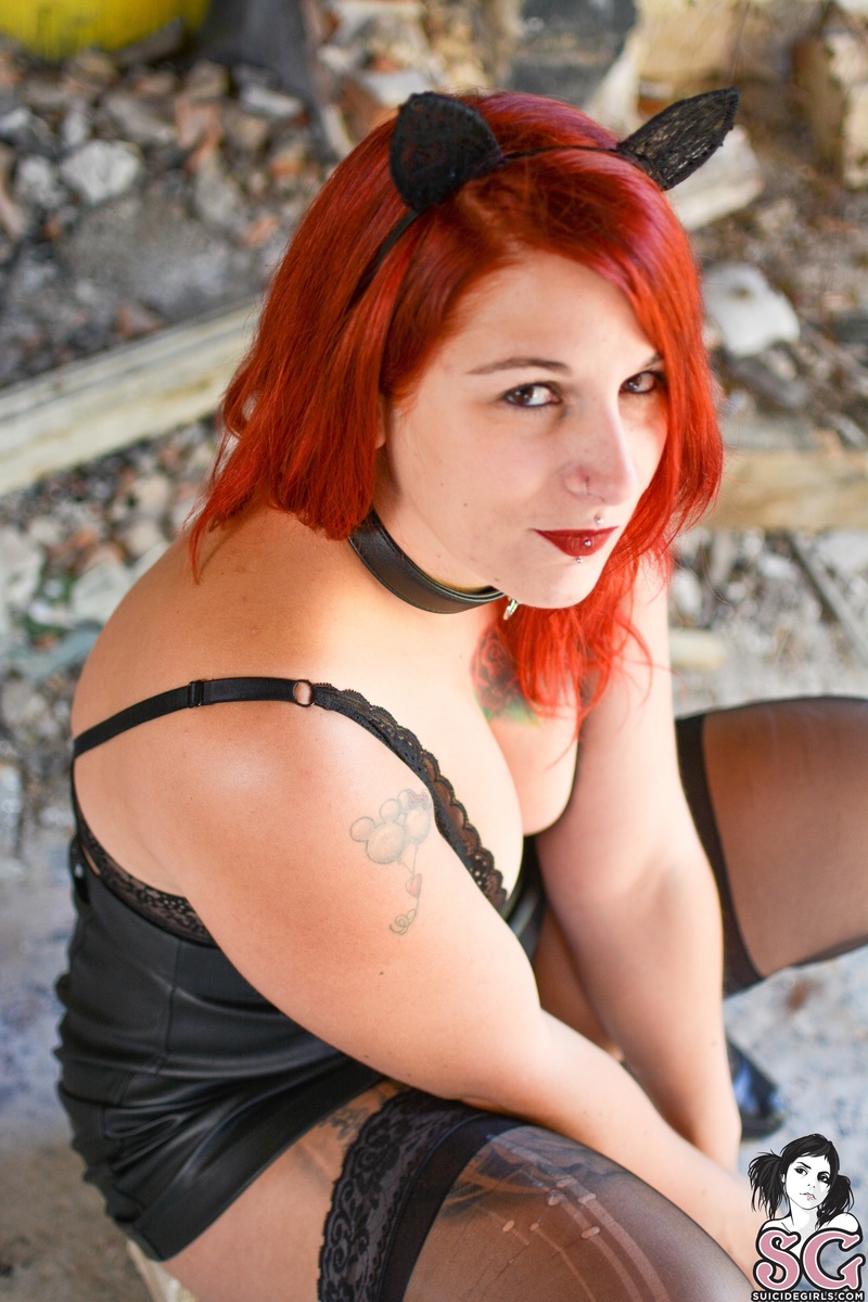 lody-petitchategare-13.jpg