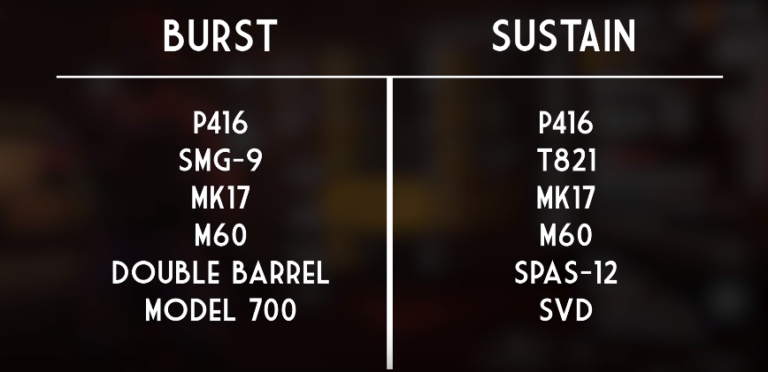 Division_2_BEST_WEPS.png