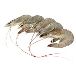 udang.jpg