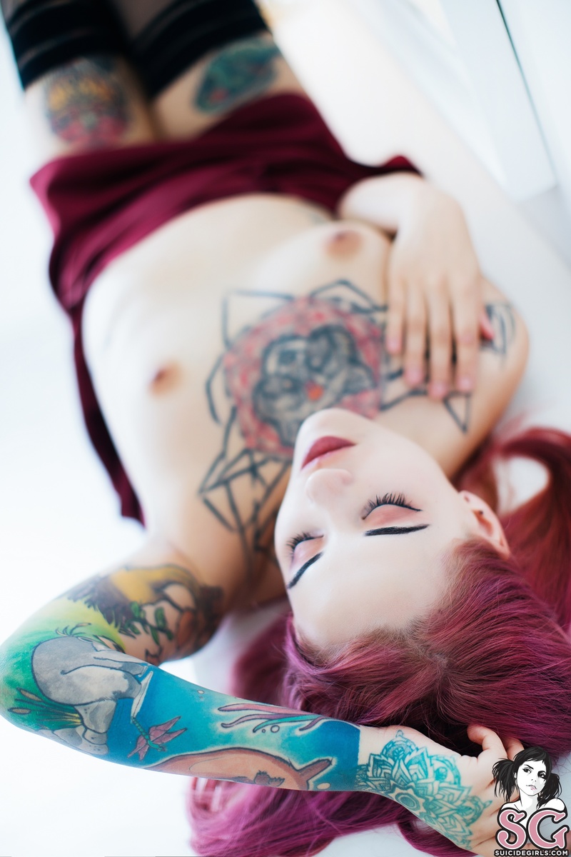 prune-cherrybrandy-23.jpg