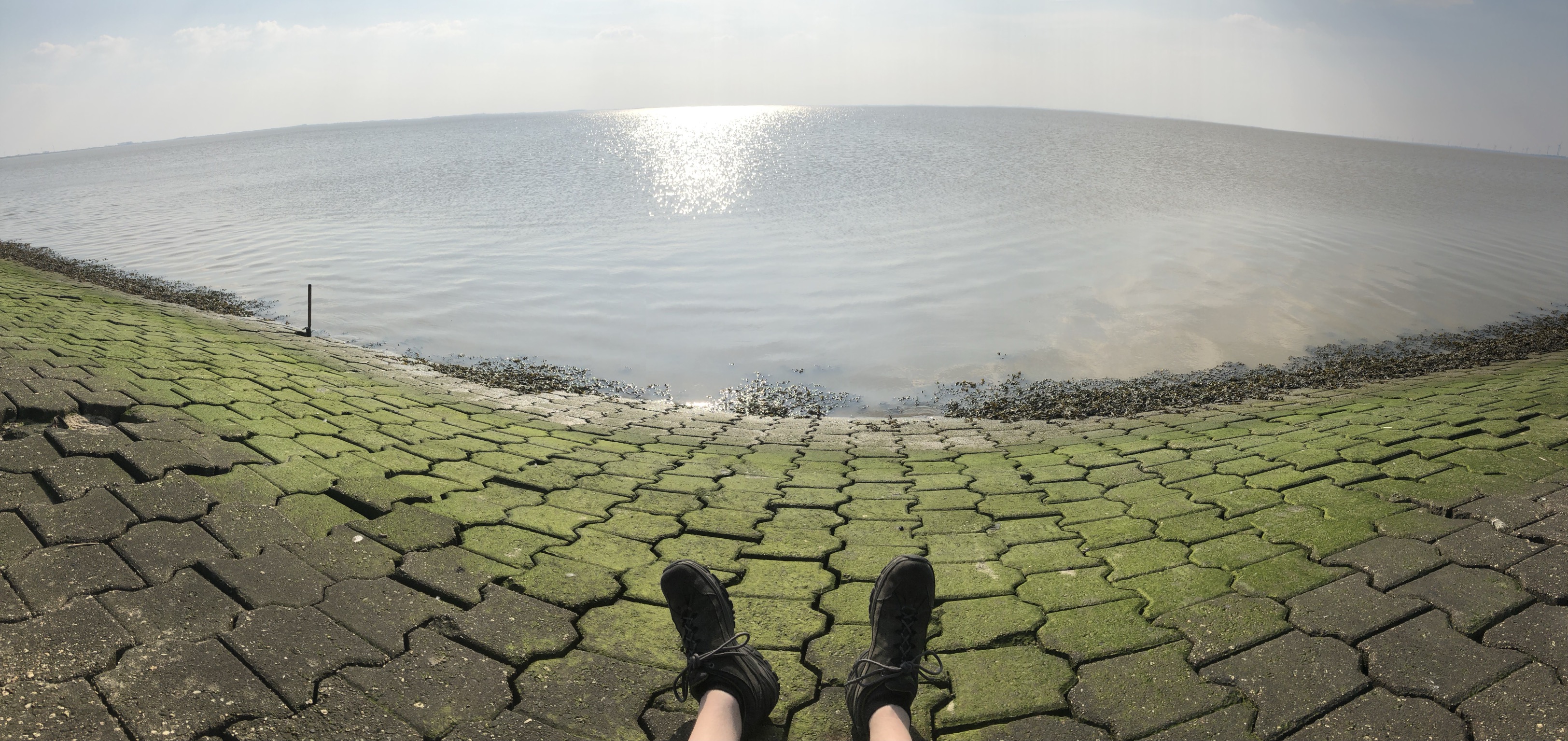 7E1FFCD8-168C-41B2-A11C-40C5BE746A44.jpeg