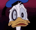 donald.gif