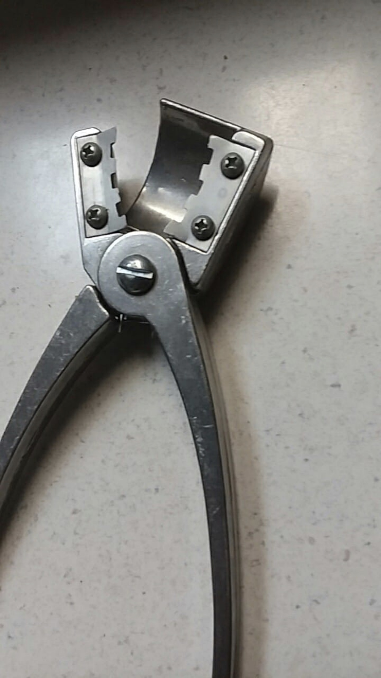 file.jpg