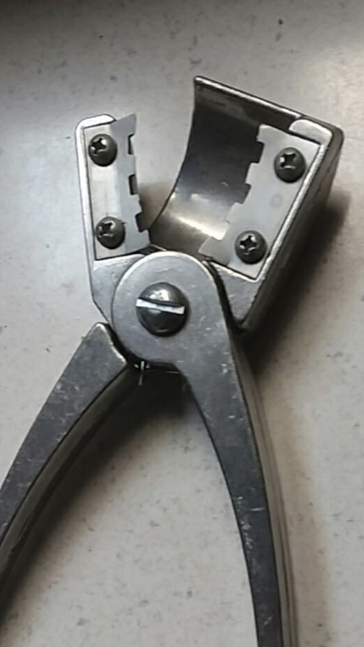 file.jpg