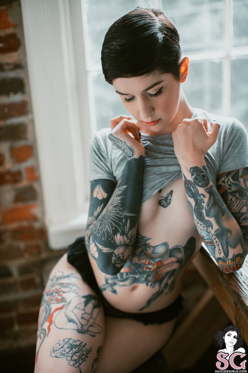 laceyjane-tanager-03.jpg