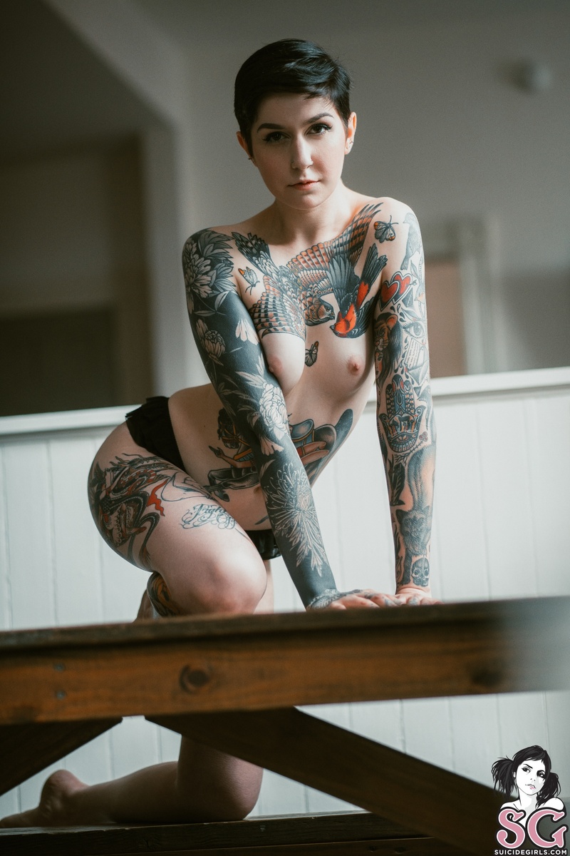 laceyjane-tanager-09.jpg