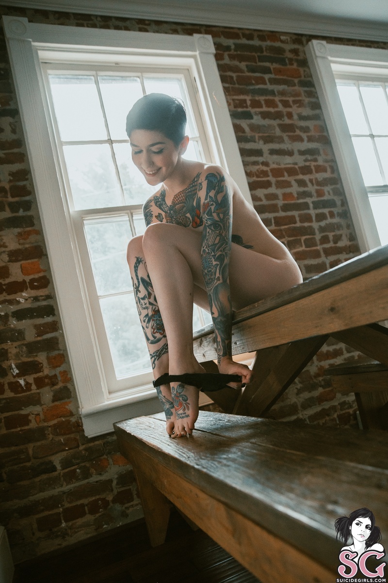 laceyjane-tanager-21.jpg