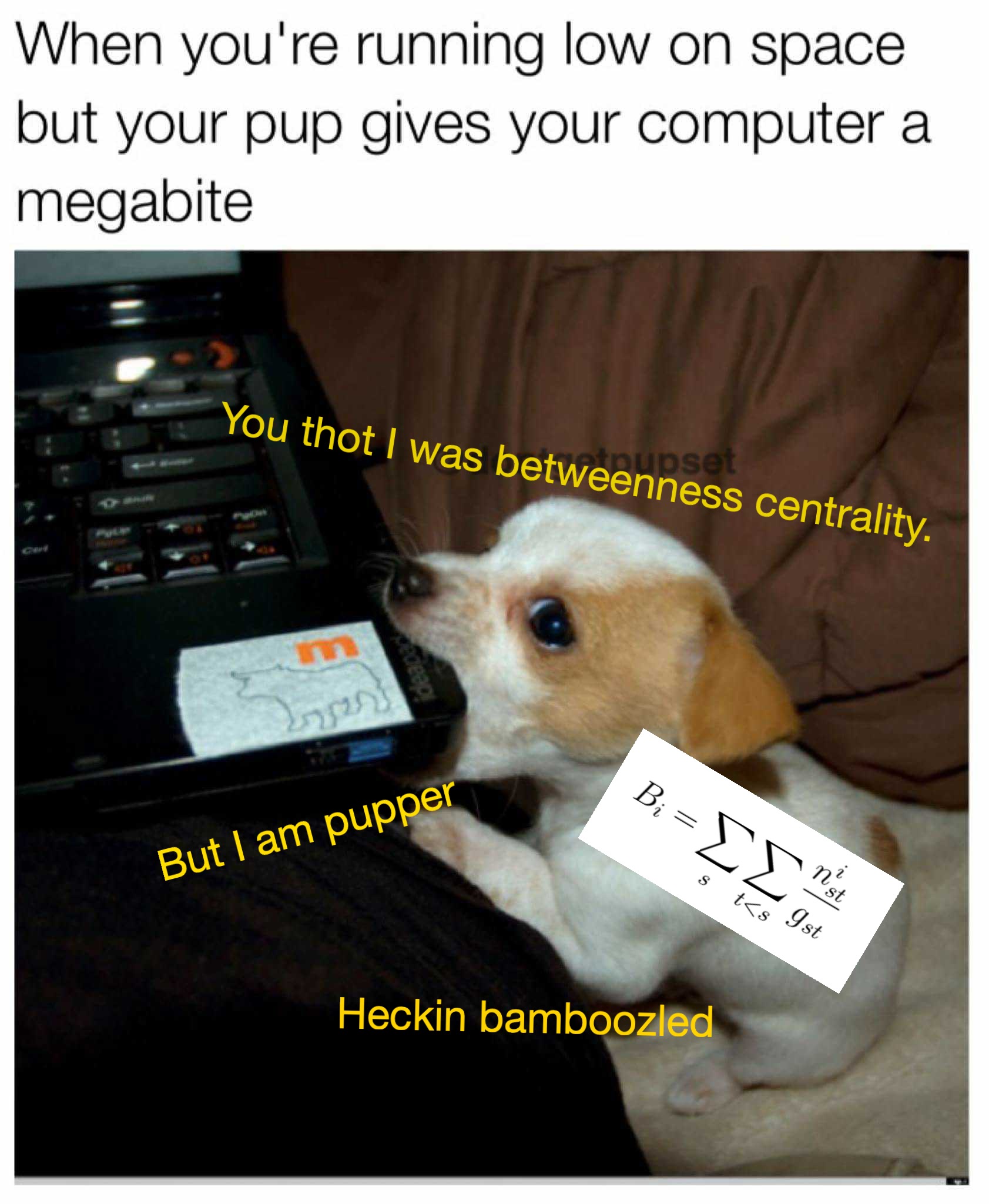 megabite.jpeg