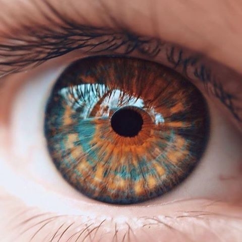eye.jpg