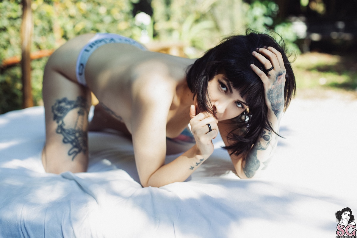 pisces-whitefox-29.jpg