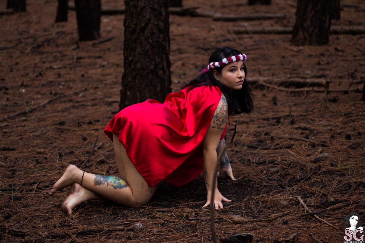 dudafox-lostintheforest-23.jpg