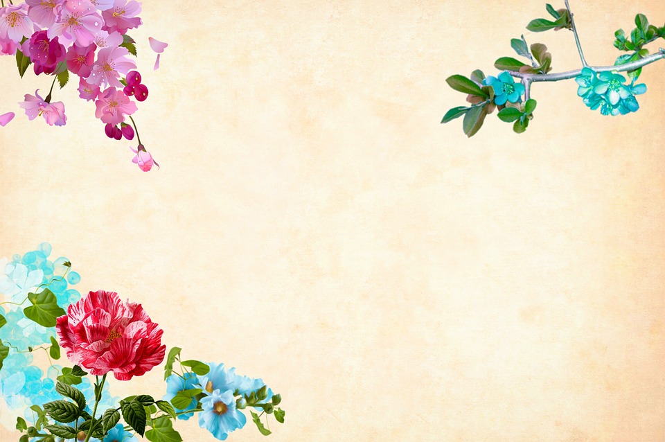 flower-3344000_960_720.jpg