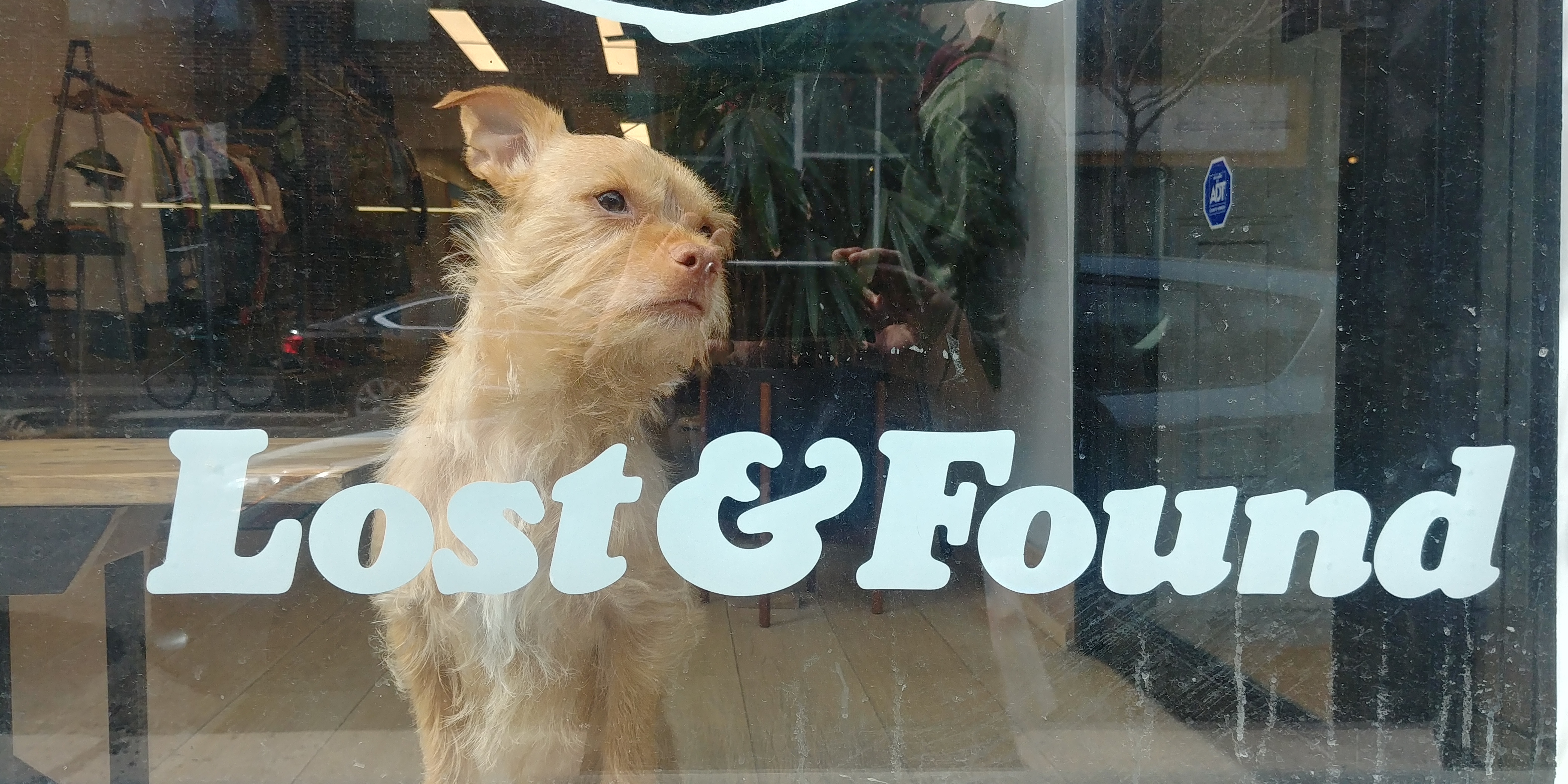 Lost and Found