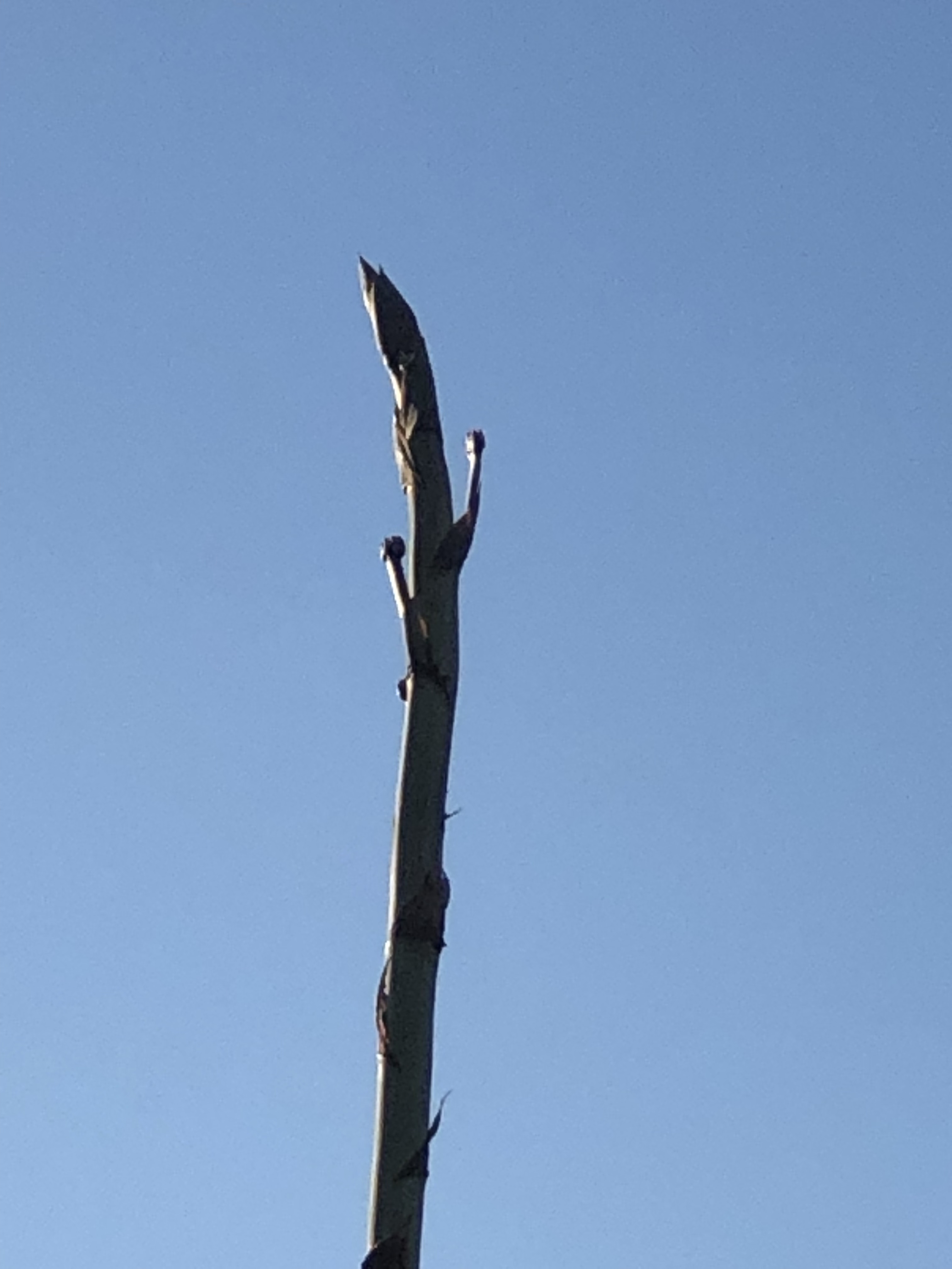 file.jpg
