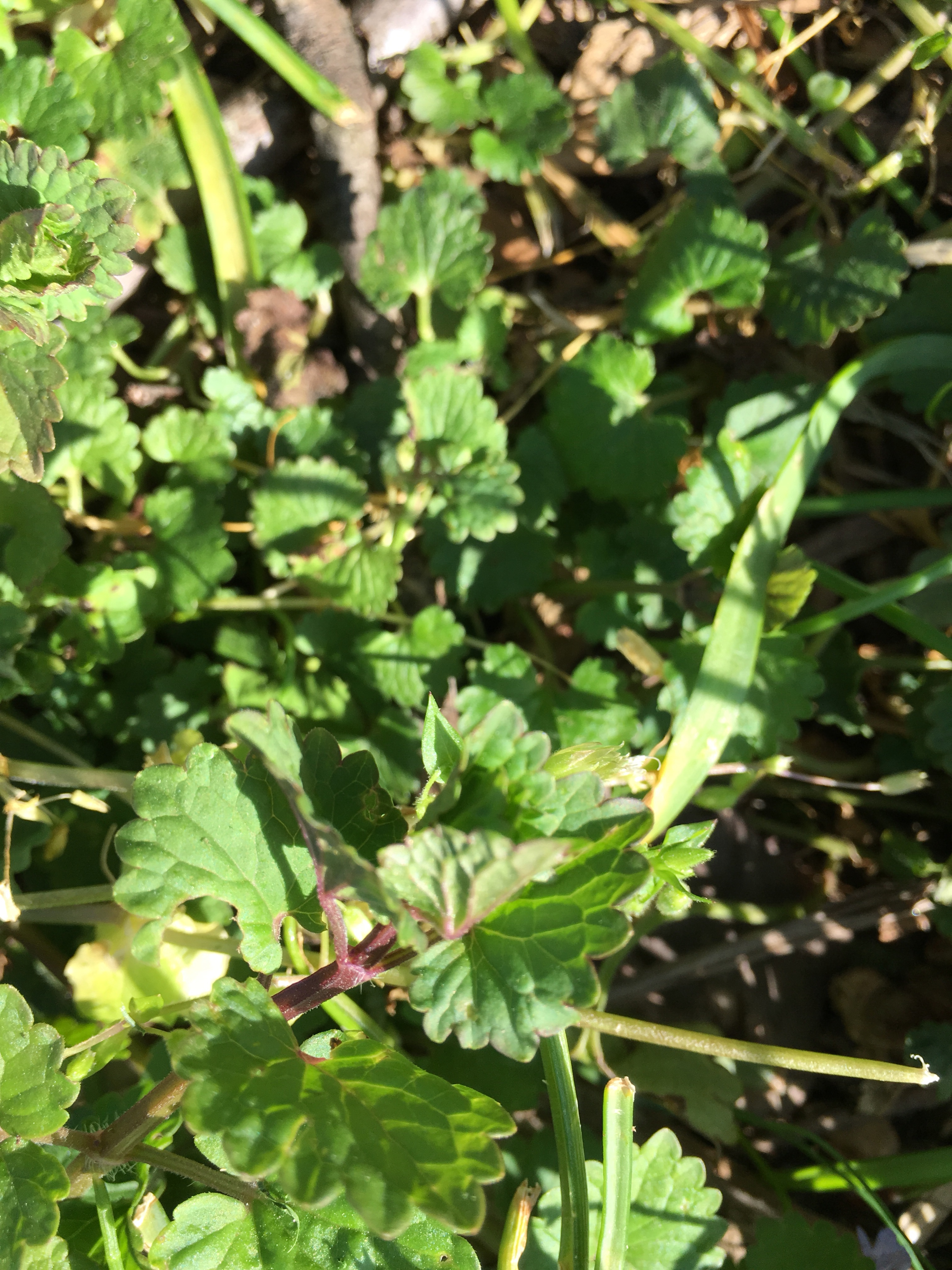 file.jpg