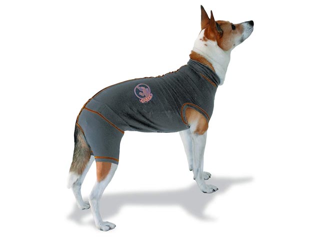 vetgood-dogsuit.jpg
