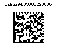 1Z9E8W939006280036.gif