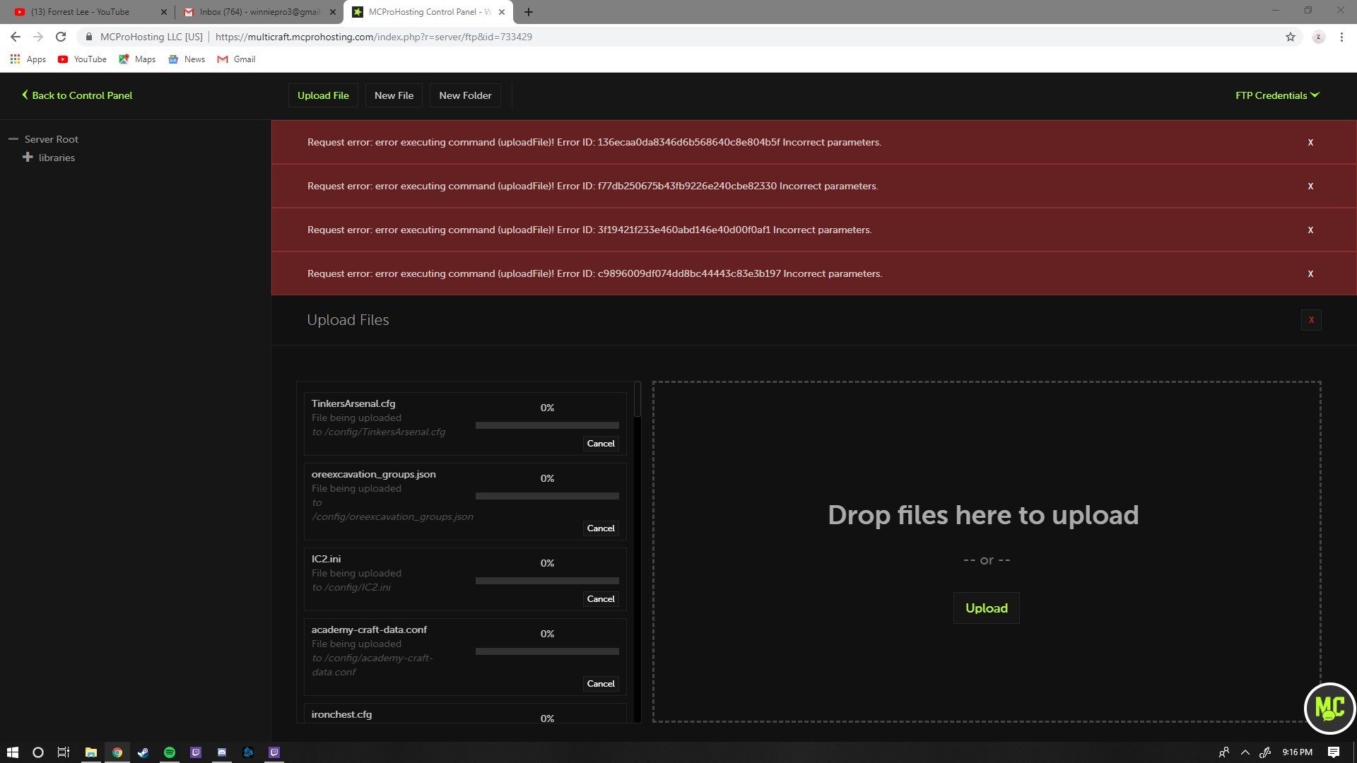 Error MCProhosting