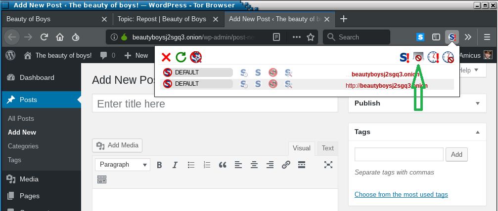 noscript2.png