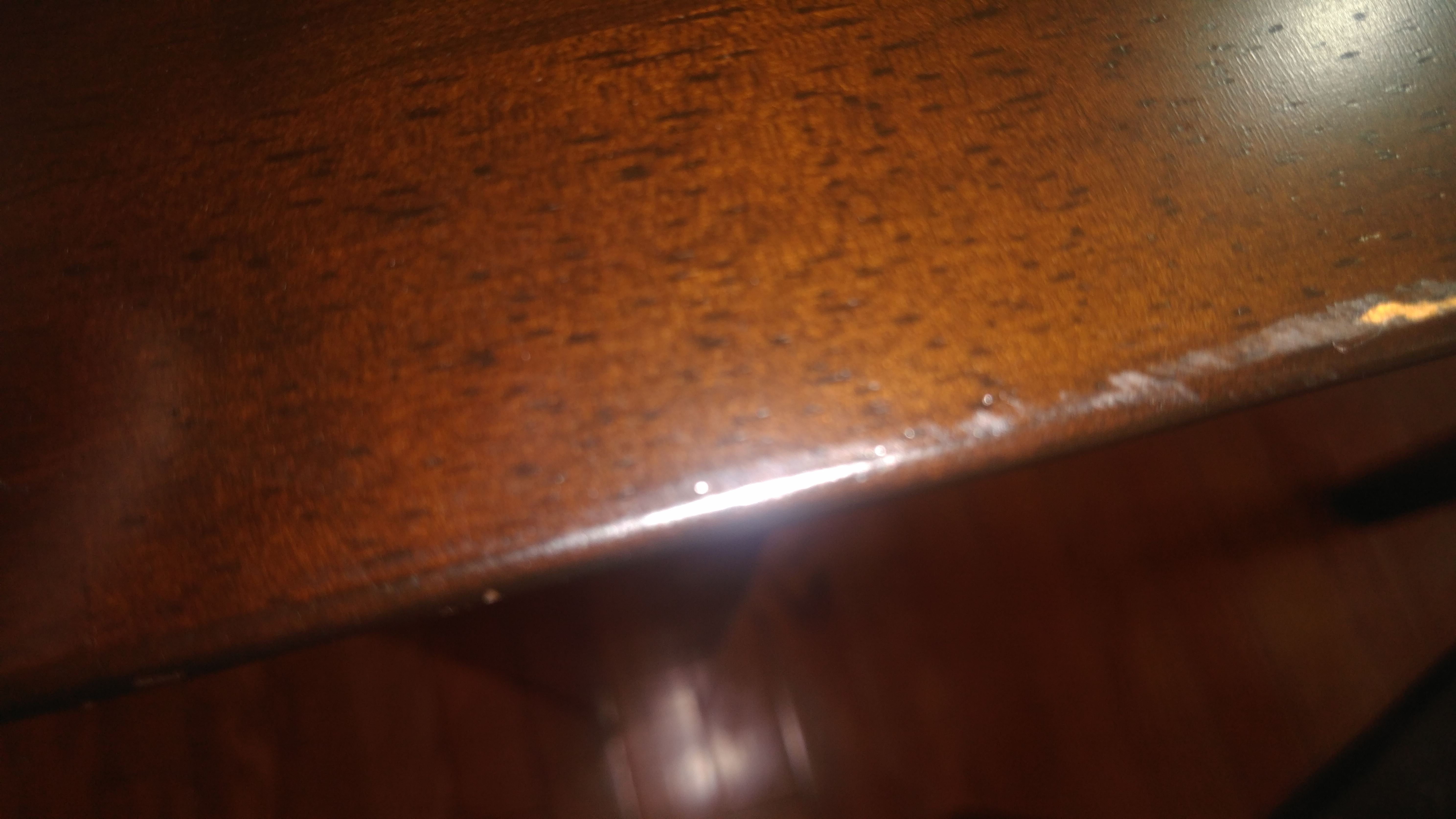 IMG_20190508_161355.jpg