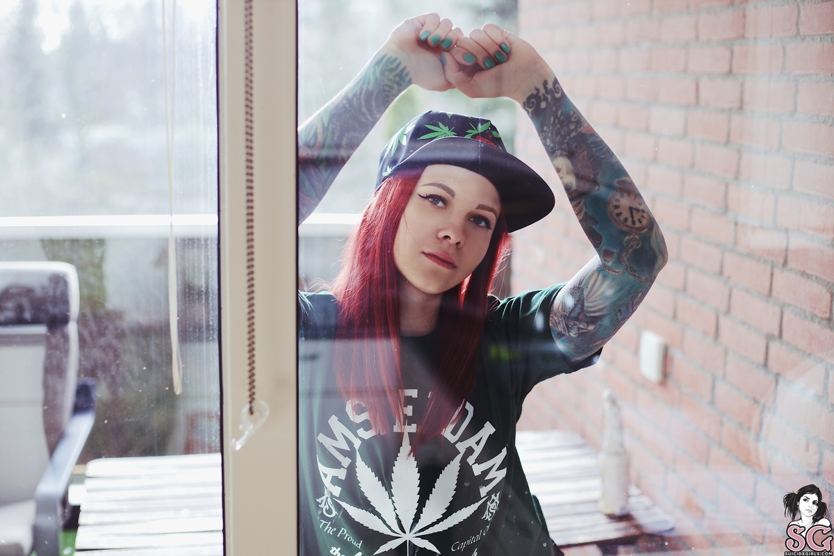 talketna-talketnahaze-05.jpg