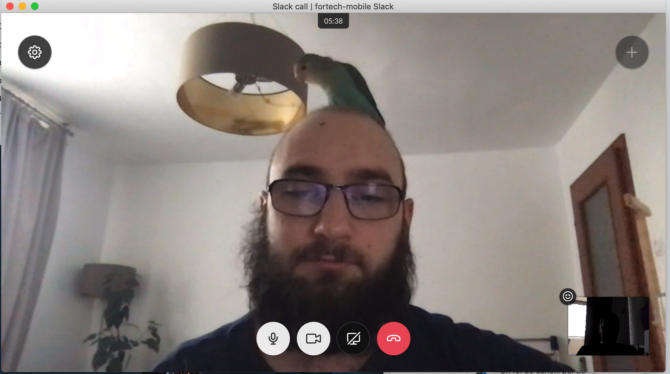 Screenshot2019-05-14at11.34.32.png