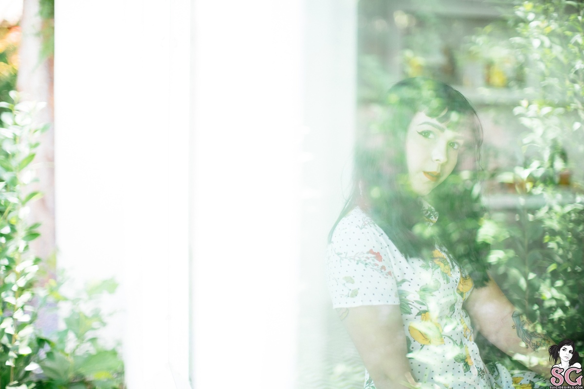 saylor-sunnyafternoon-03.jpg