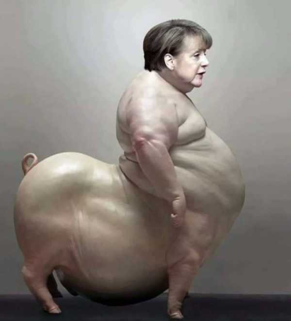 pigtaur.jpg