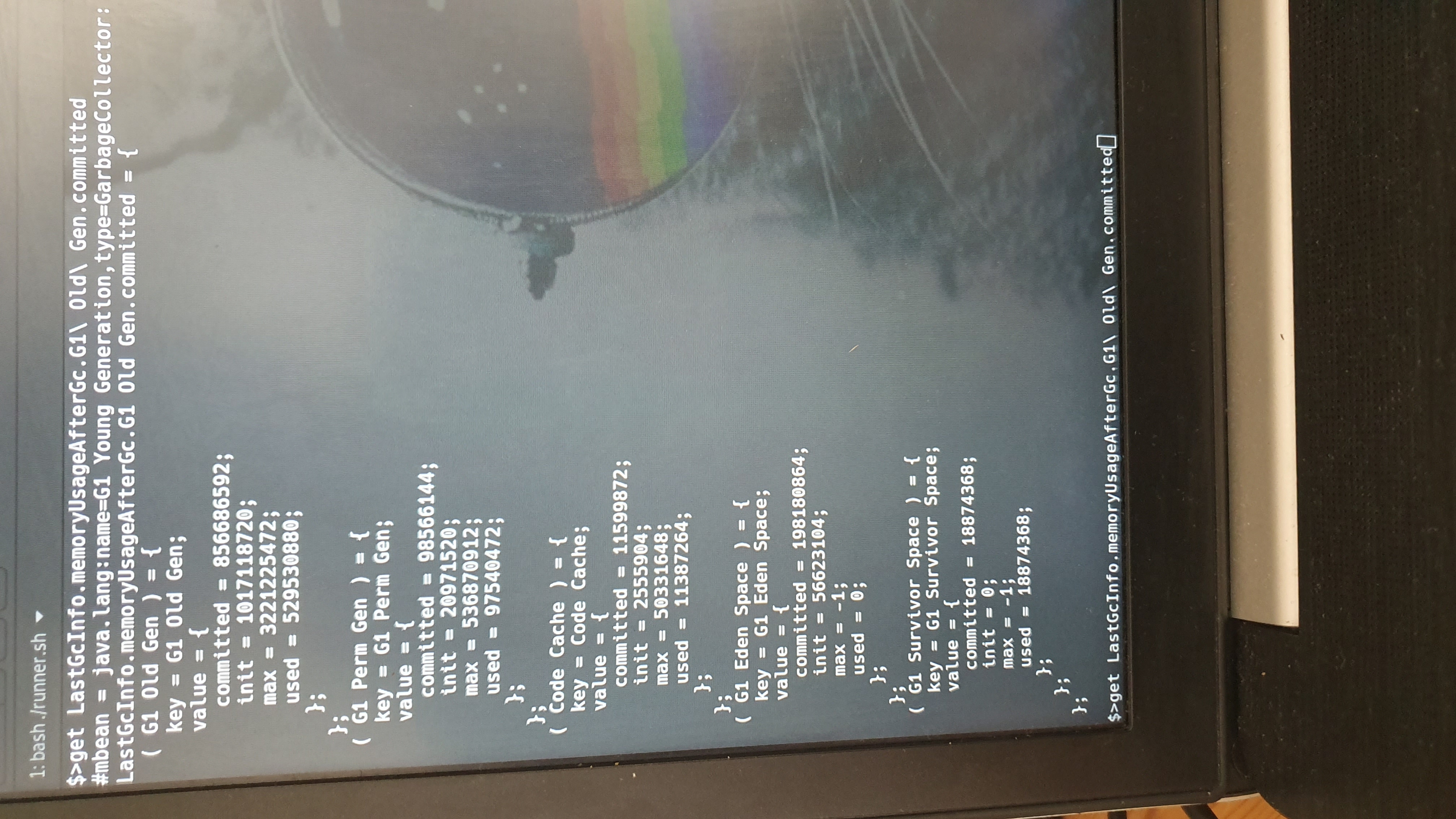 15579101593078103843916894761041.jpg